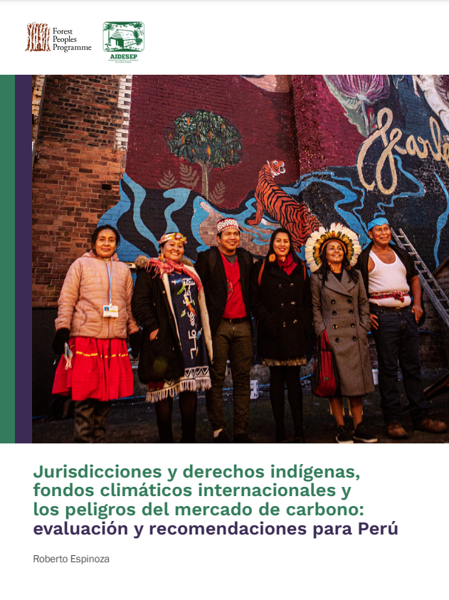 publication cover of Indigenous Jurisdictions report 