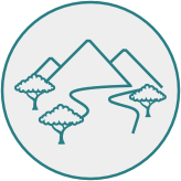 Drawing of three trees in front of mountains.