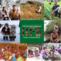 International Indigenous Forum on Biodiversity (IIFB)