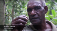 Video: Indonesia's Wambon Tekamerop and their relationship with their forest - now threatened by oil palm