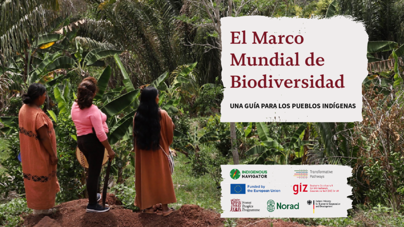 El Marco Mundial de Biodiversidad: Una guía para los pueblos indígenas