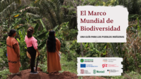 El Marco Mundial de Biodiversidad: Una guía para los pueblos indígenas