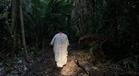 Desecrated Forest Part 2: Deforestation, invasions and the aggressive expansion of palm oil affect an indigenous community in Peru