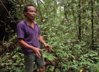 New paper: Legal obstacles to territorial rights recognition, sustainable production and conservation on forest peoples’ lands