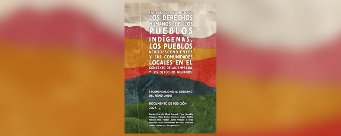 Protegiendo y garantizando los derechos humanos de los pueblos indígenas, los pueblos afrodescendientes y las comunidades locales en el contexto de las empresas y los derechos humanos