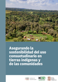 Asegurando la sostenibilidad del uso consuetudinario en tierras indígenas y de las comunidades
