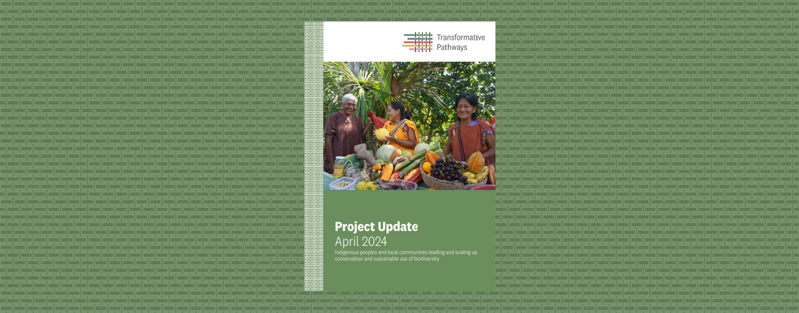 Transformative Pathways Project Update 2024