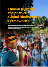 Los derechos humanos en el Marco Mundial de la Diversidad Biológica Posterior a 2020: Opciones para integrar un enfoque basado en los derechos humanos a fin de lograr los objetivos del Convenio sobre la Diversidad Biológica