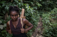 The situation of indigenous forest peoples in Cameroon - Factsheet