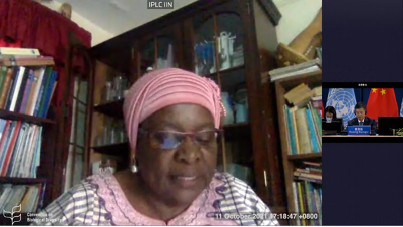 Lucy Mulenkei IIFB COP 15