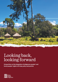 Looking Back, Looking Forward: Perspectives on the integration of indigenous peoples’ and forest peoples’ rights in EU law, policy and practice