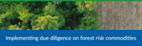 Consultation Opportunity: Implementing Due Diligence on Forest Risk Commodities