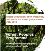 Report: Compilations of UN Treaty Body and Special Procedures ‘jurisprudence’, Volume VIII (2017-2019)