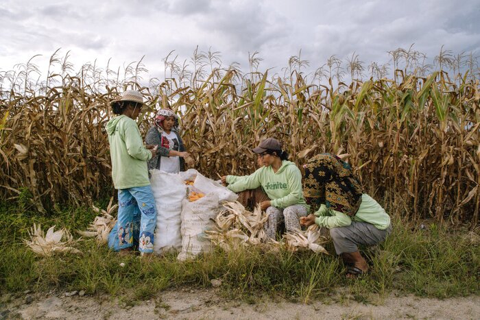 Group of women in front of a corn field