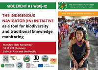 Potenciando las Voces Indígenas: El Navegador Indígena como Catalizador de Derechos y Desarrollo