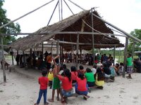 Suriname's draft land rights act is testimony to the value of collective and sustained local action