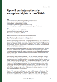 Open Letter to EU Institutions: Uphold our internationally recognised rights in the CSDDD