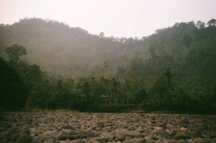 Long Isun Community Pushes for Mediation in Formal Complaint Against World Bank Carbon Project in Indonesia