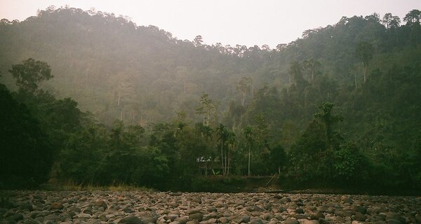 Long Isun Community Pushes for Mediation in Formal Complaint Against World Bank Carbon Project in Indonesia