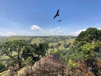 Press Release: New Guidance on Conservation and Human Rights to be Launched at CBD COP16