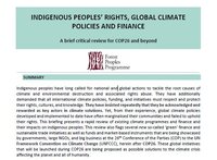 Los Derechos de los Pueblos Indígenas, las Políticas Climáticas y la Financiación a Nivel Mundial
