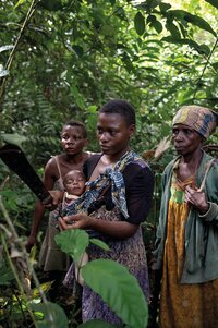 Rapport du dialogue national sur les droits des peuples autochtones des forêts du Cameroun et l'accès à la citoyenneté