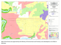 National Strategic Project that confiscates indigenous Papuan land and endangers their social and cultural identity must be stopped