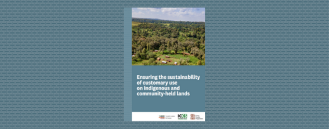 Ensuring the sustainability of customary use on Indigenous and community-held lands