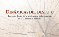 Informe: Dinámicas del Despojo - Factores detrás de la violencia y deforestación en la Amazonía peruana