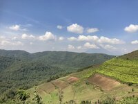 Submission to the UK Labour Party’s National Policy Forum 