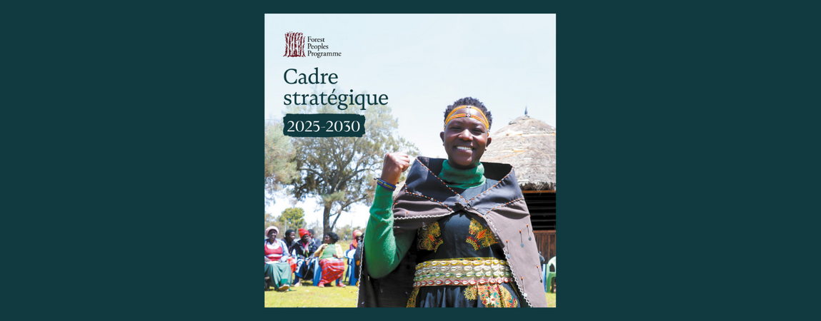 Cadre stratégique 2025-2030