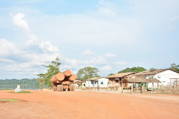 FSC’s New Corporate Group Methodology: A Step Forward, But Caution Required