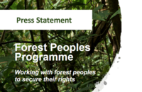 Press statement: NGOs call for reforms following death of indigenous Indonesian man in palm oil company office