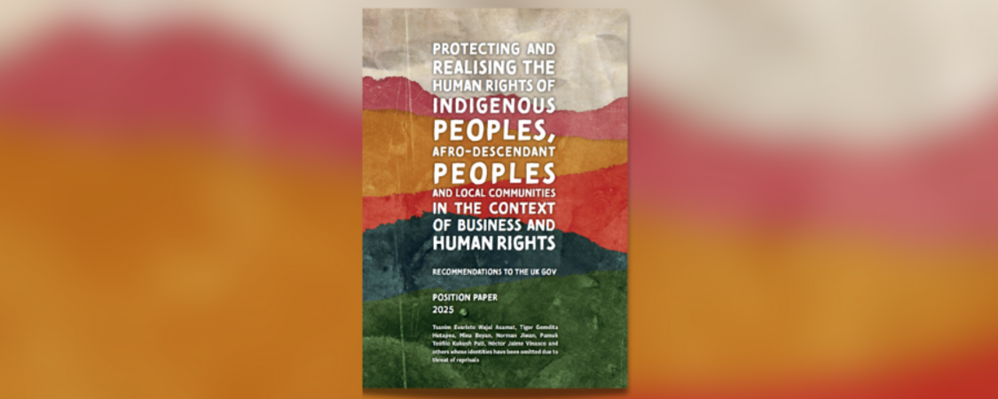 Protecting and Realising the Human Rights of Indigenous Peoples, Afro-descendant Peoples and Local Communities in the Context of Business and Human Rights