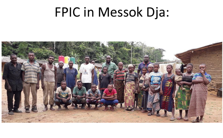 FPIC in Messok Dja