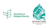 COP15 – Working to include Indigenous Peoples and Local Communities’ rights in new biodiversity agreement