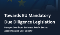 Indigenous peoples’ organisations submit observations on proposed EU corporate due diligence laws that uphold indigenous rights