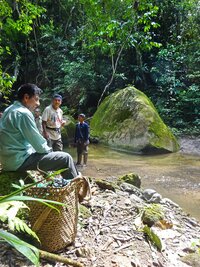 Sovereigns of the Forest: a Dialogue Between the Territory and the Word