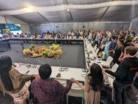 Biodiversity negotiations return to Nairobi: SBSTTA-28 and SBI-7 consider monitoring, implementation and finance