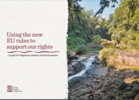 Using the new EU rules to support our rights – a guide for indigenous peoples and forest peoples