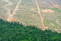 ¿Logrará el tribunal superior del Perú garantizar justicia y hacer historia ambiental y social?