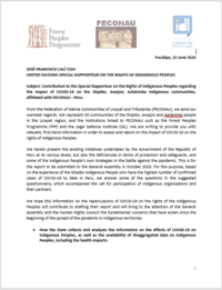 Carta al Relator Especial de la ONU detallando los impactos de COVID-19 sobre los derechos indígenas en Perú
