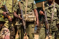 La conservation coercitive en procès en République démocratique du Congo