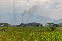 Article series: Views from the ground – Commodity certification, human rights and deforestation