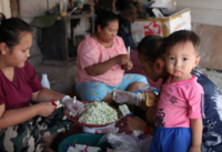 Tailandia estudio de caso: Comunidades indígenas de las tierras altas sobre autosuficiencia, seguridad alimentaria y tenencia de la tierra