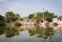 La pandémie augmente les risques pour les populations forestières déjà en situation de menace