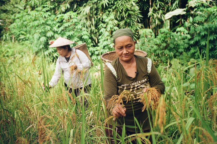 Webinar - Feeling the squeeze: Land concentration and corporate capture in food systems