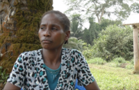 Terre sans titre - les Bagyeli d'Océan