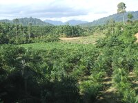 Open Letter: Human Rights Defenders are a Cornerstone of Sustainable Development