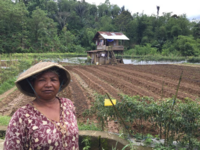 ‘Hidden hunger’ triggers women in Sumatra to recuperate traditional crops